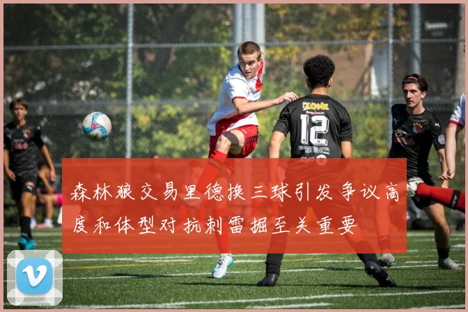森林狼交易里德换三球引发争议高度和体型对抗刺雷掘至关重要